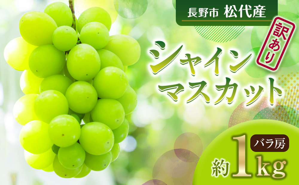 高野農園　長野市松代産&nbsp;訳ありシャインマスカット&nbsp;約1kg（バラ房）&nbsp;|&nbsp;訳あり&nbsp;葡萄&nbsp;ぶどう&nbsp;ブドウ&nbsp;フルーツ&nbsp;果物&nbsp;シャインマスカット&nbsp;人気&nbsp;おすすめ&nbsp;果物&nbsp;長野県&nbsp;長野市&nbsp;信州&nbsp;信濃&nbsp;ふるさと納税