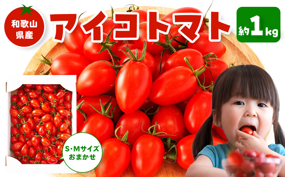 ［2026年4月出荷分］和歌山産ミニトマト「アイコトマト」約1kg（S・Mサイズおまかせ）［TM231］