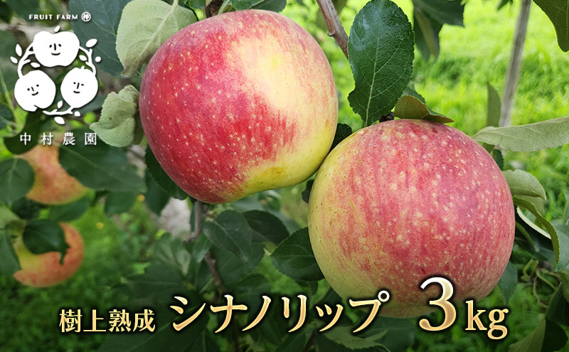 【8月中旬発送&nbsp;先行予約】樹上熟成　シナノリップ&nbsp;3kg