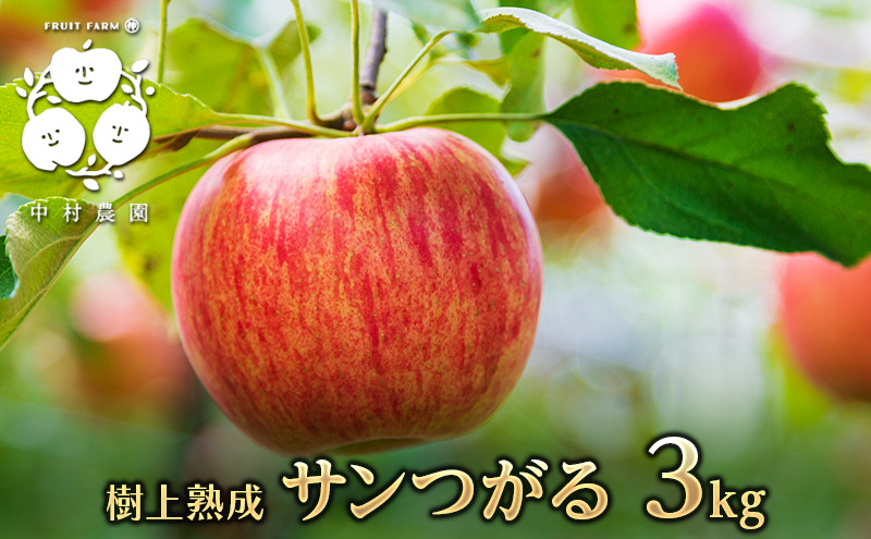 【8月下旬発送&nbsp;先行予約】樹上熟成　サンつがる&nbsp;3kg