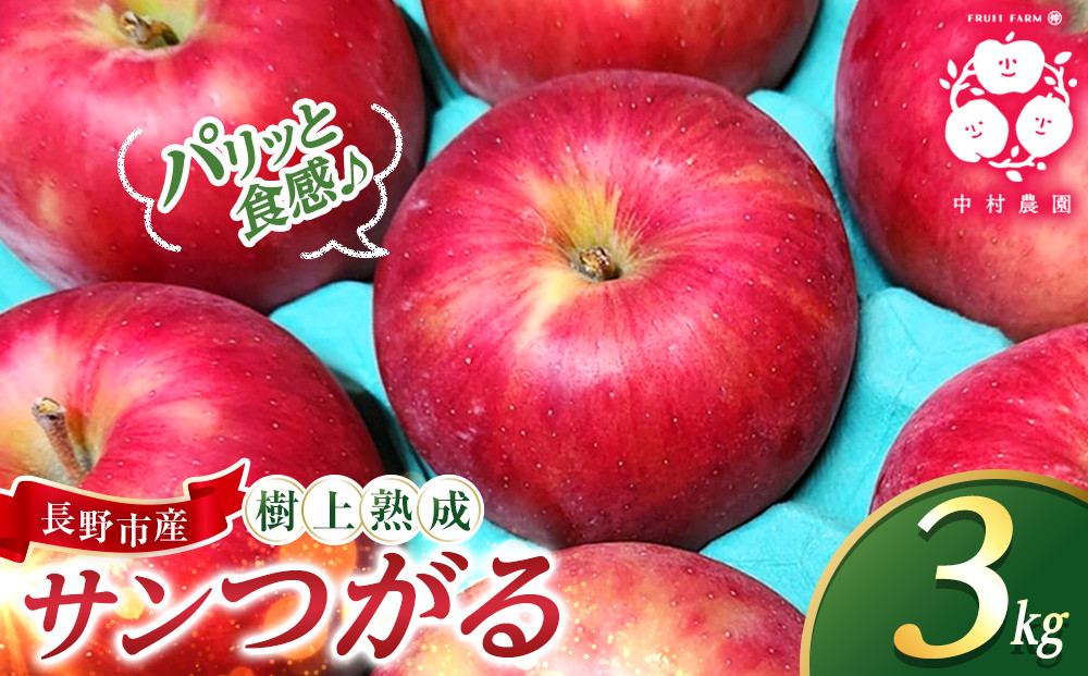 フルーツファーム中村農園　【8月下旬発送&nbsp;先行予約】樹上熟成　サンつがる&nbsp;3kg&nbsp;|&nbsp;りんご&nbsp;サンつがる&nbsp;林檎&nbsp;人気&nbsp;おすすめ&nbsp;果物&nbsp;フルーツ&nbsp;早生種&nbsp;贈答用&nbsp;ギフト&nbsp;送料無料&nbsp;長野県&nbsp;長野市&nbsp;信州&nbsp;信濃&nbsp;ふるさと納税