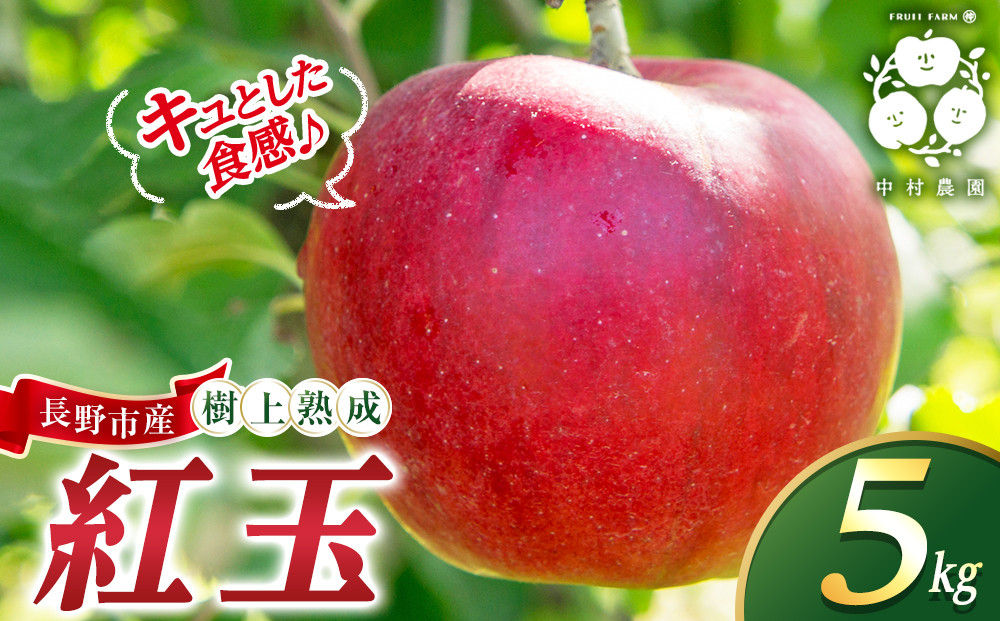 フルーツファーム中村農園　【9月下旬発送&nbsp;先行予約】樹上熟成　紅玉&nbsp;5kg&nbsp;|&nbsp;&nbsp;りんご&nbsp;紅玉&nbsp;林檎&nbsp;人気&nbsp;おすすめ&nbsp;果物&nbsp;フルーツ&nbsp;赤いりんご&nbsp;アップルパイ&nbsp;製菓用&nbsp;加工用&nbsp;送料無料&nbsp;長野県&nbsp;長野市&nbsp;信州&nbsp;信濃&nbsp;ふるさと納税