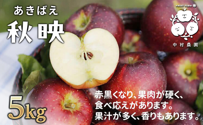 【10月上旬発送&nbsp;先行予約】樹上熟成　秋映&nbsp;5kg