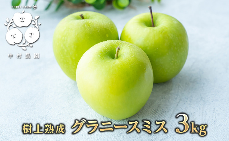 【10月下旬発送&nbsp;先行予約】樹上熟成　グラニースミス&nbsp;3kg