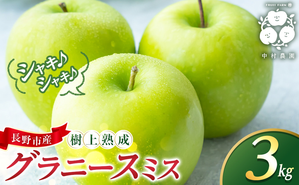フルーツファーム中村農園　【10月下旬発送&nbsp;先行予約】樹上熟成　グラニースミス&nbsp;3kg&nbsp;|&nbsp;&nbsp;りんご&nbsp;グラニースミス&nbsp;グリーンアップル&nbsp;林檎&nbsp;アップルパイ&nbsp;ジャム&nbsp;加工用&nbsp;生食用&nbsp;果物&nbsp;フルーツ&nbsp;青りんご&nbsp;料理用&nbsp;製菓用&nbsp;送料無料&nbsp;長野県&nbsp;長野市&nbsp;信州&nbsp;信濃&nbsp;ふるさと納税