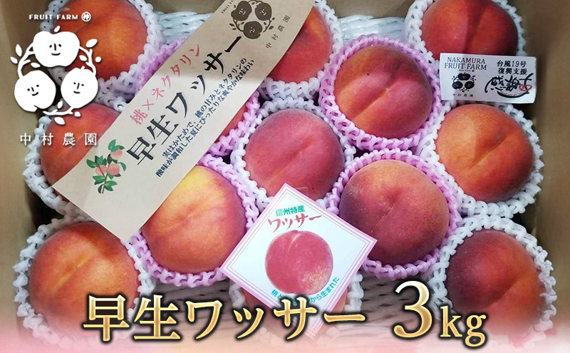 【7月中旬発送&nbsp;先行予約】早生ワッサー&nbsp;3kg