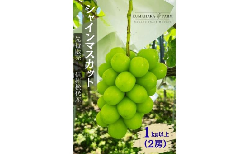 長野市シャインマスカット　1kg以上