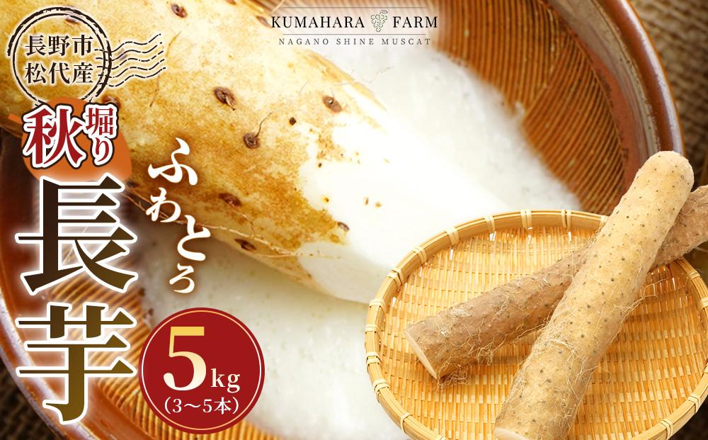 熊原果樹園　長芋（秋堀り）5kg&nbsp;|&nbsp;長いも&nbsp;野菜&nbsp;根菜&nbsp;とろろ&nbsp;シャキシャキ&nbsp;食感&nbsp;粘り&nbsp;松代産&nbsp;&nbsp;特産品&nbsp;人気&nbsp;おすすめ&nbsp;送料無料&nbsp;長野県&nbsp;長野市&nbsp;信州&nbsp;信濃&nbsp;ふるさと納税