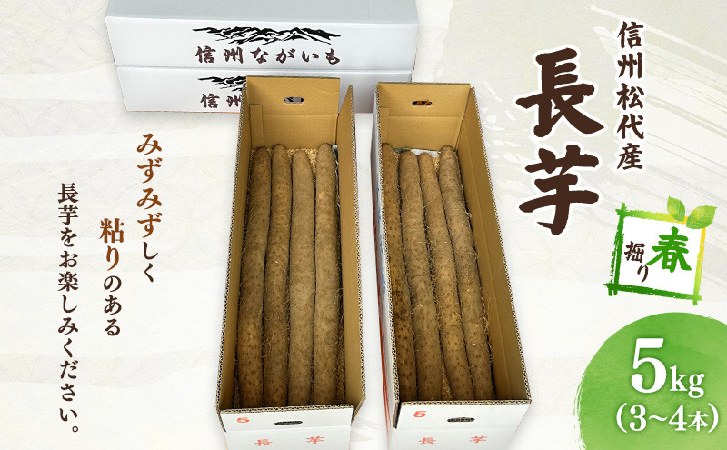 長芋（春堀り）5kg