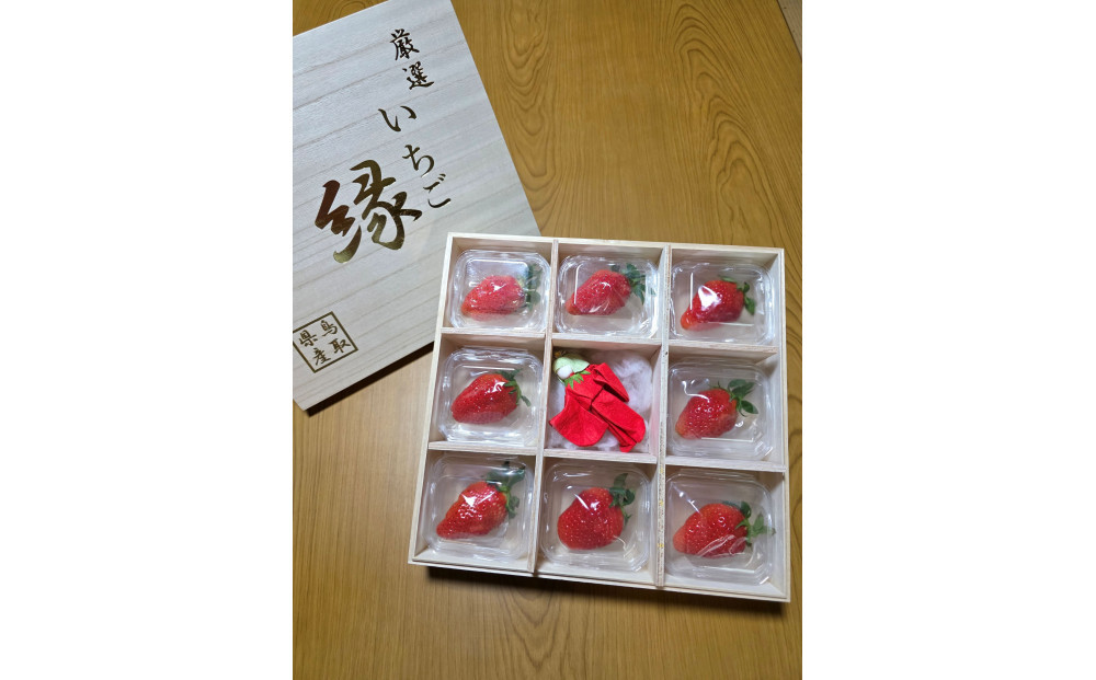 【先行予約】厳選いちご（やよいひめ）8粒と創作和紙人形セット【2027年2月発送】