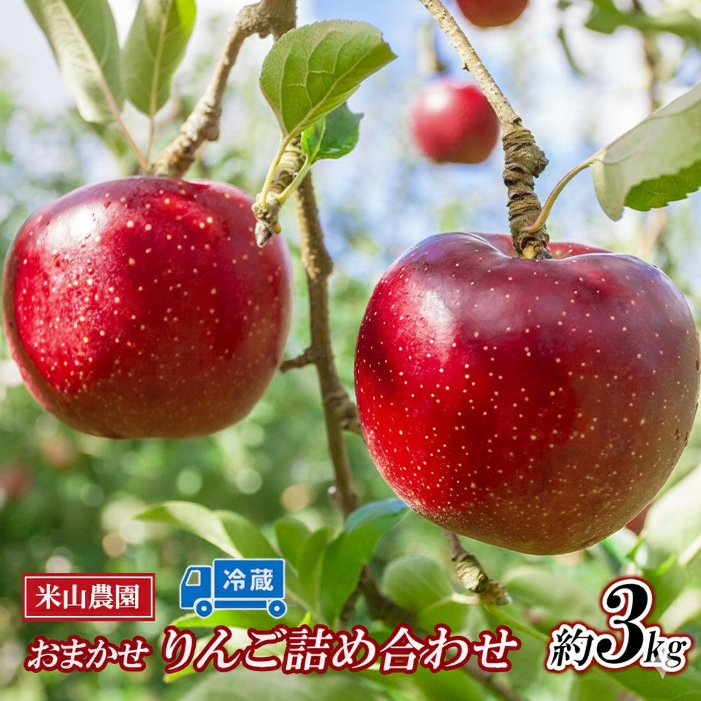 米山農園のおまかせりんご（シナノリップまたはサンつがる・シナノドルチェ・紅玉など）約3kg&nbsp;8月から順次発送