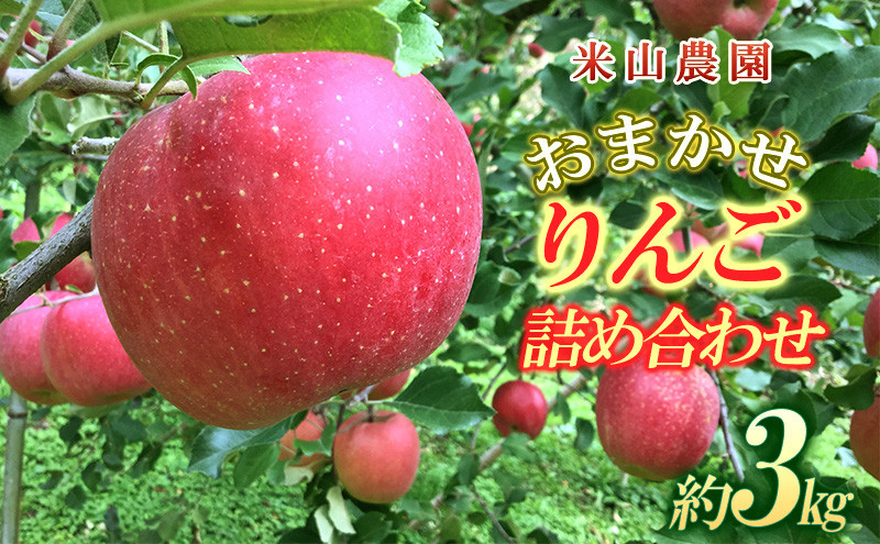 米山農園のおまかせりんご（紅玉または秋映え・シナノスイート・シナノゴールド・王林・サンふじ）約3kg&nbsp;10月から順次発送&nbsp;|&nbsp;りんご&nbsp;&nbsp;詰め合わせ&nbsp;おまかせ&nbsp;&nbsp;長野市産&nbsp;人気&nbsp;おすすめ&nbsp;林檎&nbsp;フルーツ&nbsp;果物&nbsp;食べ比べ&nbsp;&nbsp;家庭用&nbsp;送料無料&nbsp;長野県&nbsp;長野市&nbsp;信州&nbsp;信濃&nbsp;ふるさと納税