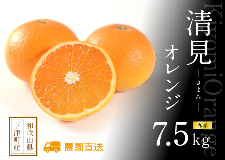 清見オレンジ&nbsp;約7.5kg&nbsp;M・L・2L・3Lサイズおまかせ&nbsp;《赤秀》&nbsp;和歌山県産&nbsp;農園直送&nbsp;まごころ産直みかん&nbsp;【北海道・沖縄県・一部離島&nbsp;配送不可】みかん&nbsp;きよみ&nbsp;清見タンゴール&nbsp;清美&nbsp;柑橘&nbsp;贈答&nbsp;［Mg63］