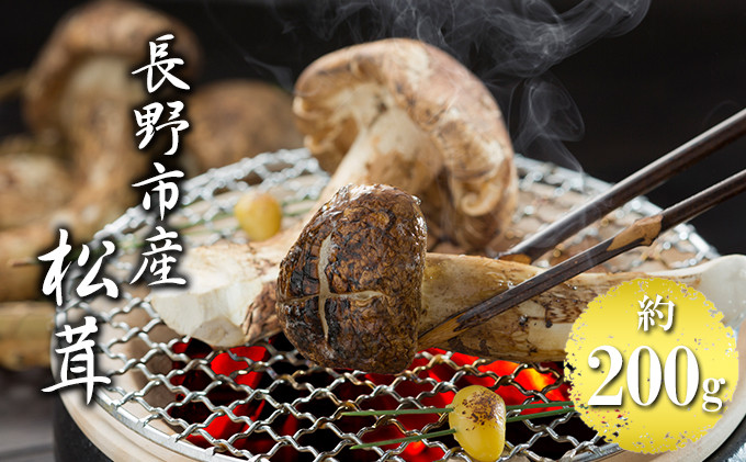 長野市収穫　松茸　約200g（2～3本）&nbsp;|&nbsp;&nbsp;まつたけ&nbsp;きのこ&nbsp;キノコ&nbsp;秋の味覚&nbsp;食材&nbsp;人気&nbsp;おすすめ&nbsp;&nbsp;送料無料&nbsp;&nbsp;長野県&nbsp;長野市&nbsp;信州&nbsp;信濃&nbsp;ふるさと納税