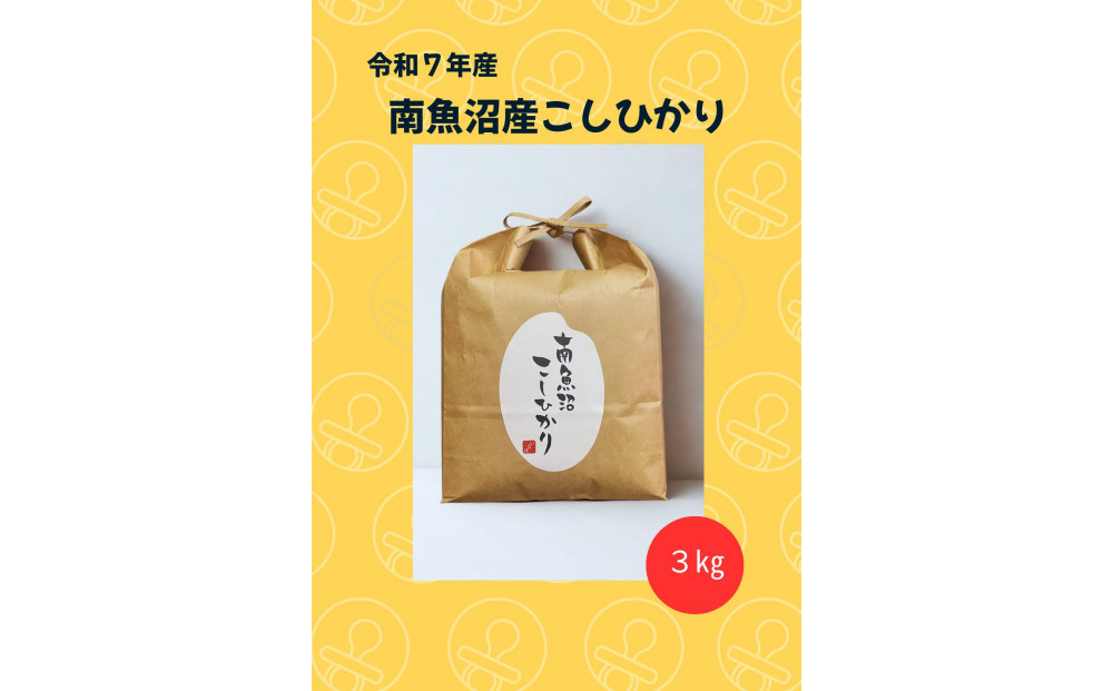 令和7年&nbsp;南魚沼産こしひかり3kg