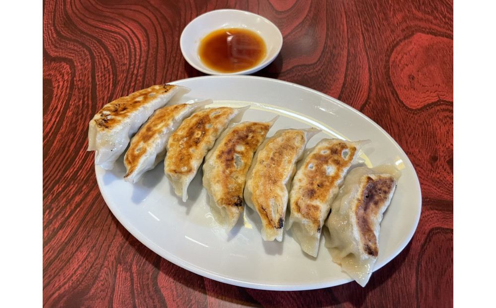 肉餃子&nbsp;45個【配送不可：沖縄県・離島】