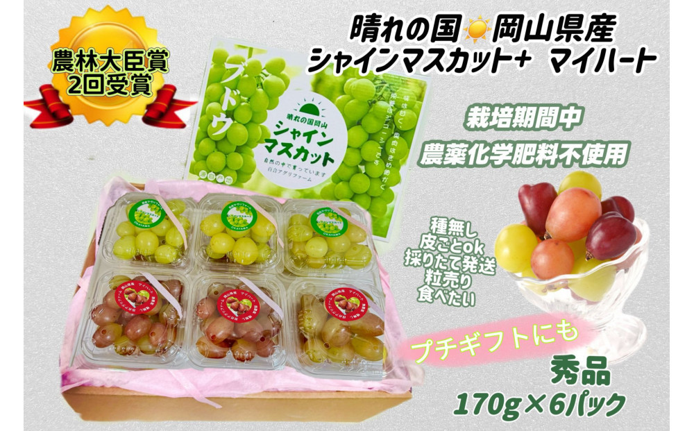 ぶどう&nbsp;2026年&nbsp;&nbsp;シャインマスカット＆マイハート&nbsp;小分け&nbsp;秀品&nbsp;粒だけ&nbsp;約170g&nbsp;6パック&nbsp;岡山&nbsp;果物&nbsp;フルーツ&nbsp;8月中旬から発送