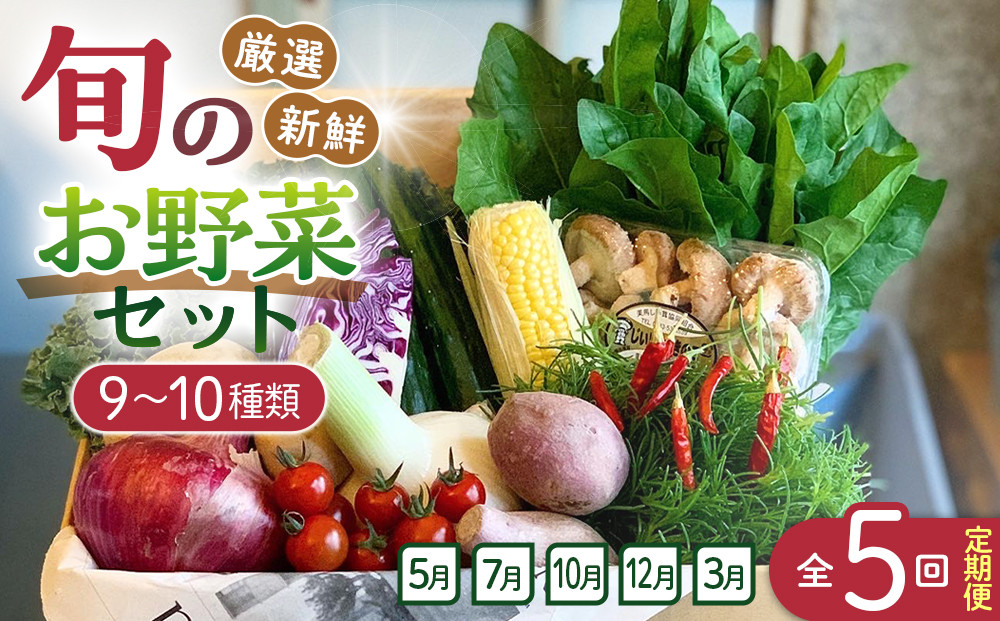 【全5回定期便】野菜セット&nbsp;旬の野菜&nbsp;（9~10種類)
