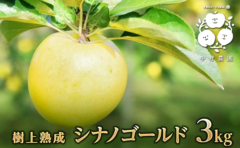 【10月中旬発送&nbsp;先行予約】樹上熟成　シナノゴールド&nbsp;3kg