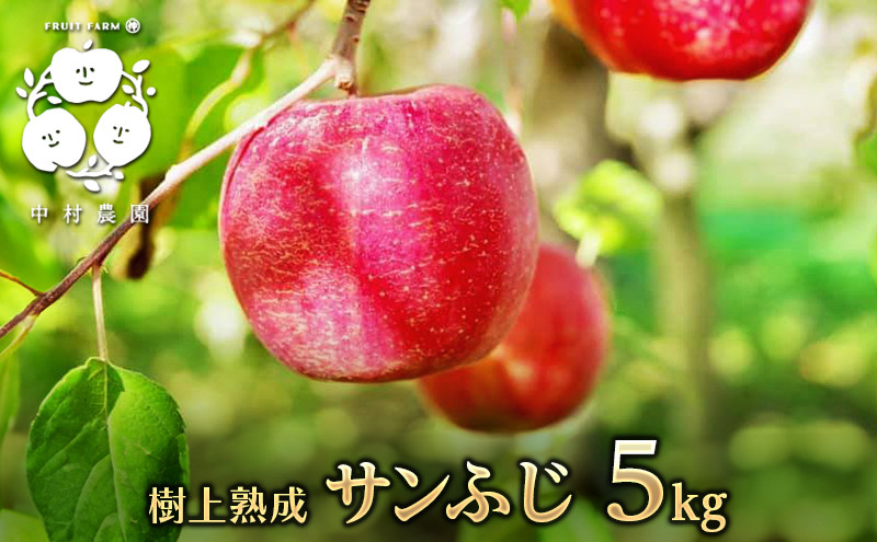 【11月下旬発送&nbsp;先行予約】樹上熟成　サンふじ&nbsp;5kg