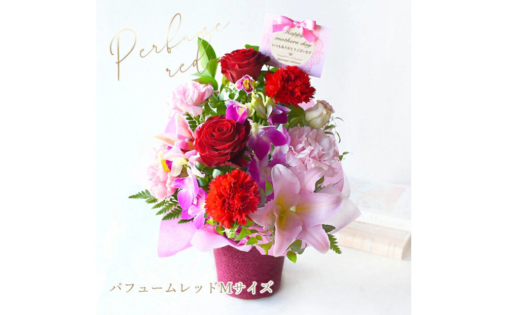 【母の日】パフュームレッドMサイズ＜お届け日：2026年5/8～5/10&nbsp;当店おまかせ&nbsp;＞母の日カード付き【&nbsp;母の日&nbsp;ギフト&nbsp;アレンジ&nbsp;花&nbsp;贈り物&nbsp;大阪府&nbsp;門真市&nbsp;】