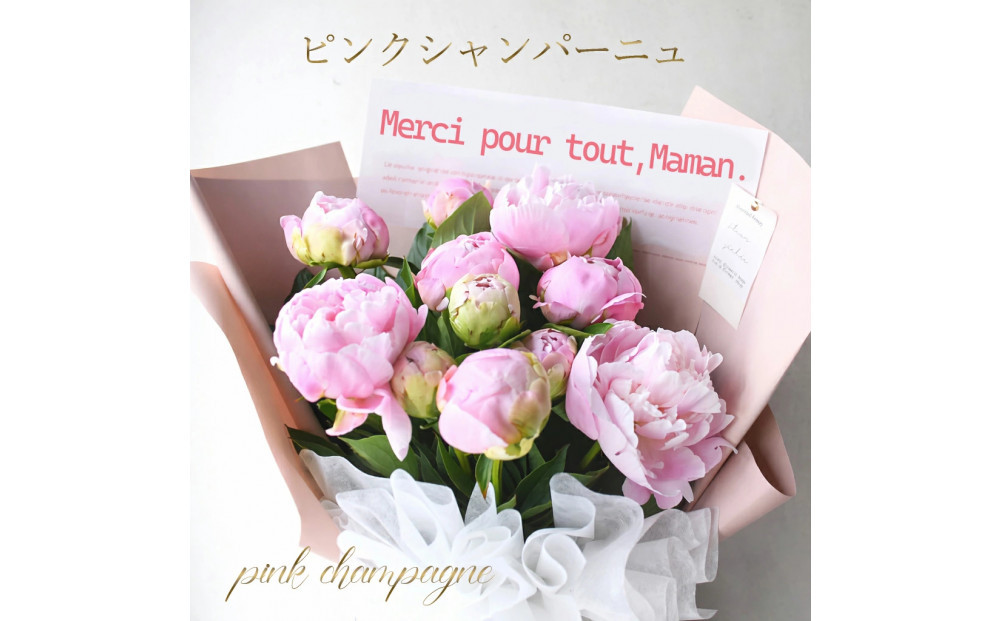 【母の日】ピンクシャンパーニュ＜お届け日：2026年5/4～5/10&nbsp;当店おまかせ&nbsp;＞母の日カード付き【&nbsp;母の日&nbsp;ギフト&nbsp;アレンジ&nbsp;花&nbsp;贈り物&nbsp;大阪府&nbsp;門真市&nbsp;】