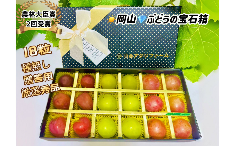 【8月中旬から発送】&nbsp;2026年&nbsp;岡山産ぶどう3種&nbsp;食べ比べ&nbsp;宝石箱&nbsp;クイーンニーナ&nbsp;シャインマスカット&nbsp;マイハート&nbsp;粒だけ18粒&nbsp;長方形化粧箱&nbsp;農林大臣賞2回受賞&nbsp;&nbsp;岡山&nbsp;果物&nbsp;フルーツ&nbsp;&nbsp;数量限定&nbsp;【箱カラー：ブラック】