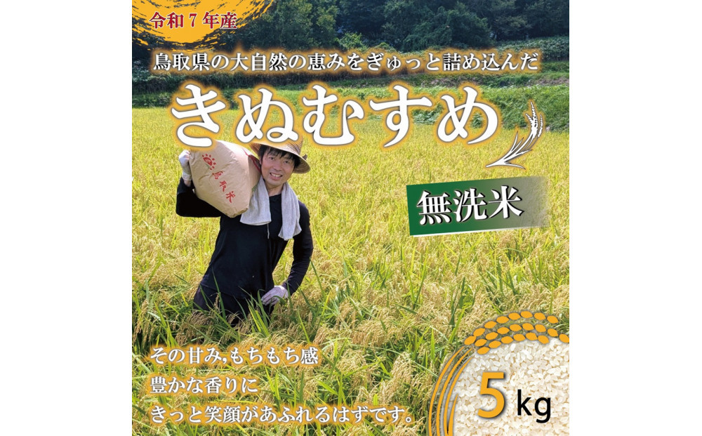 令和7年産　原田農園きぬむすめ無洗米5kg