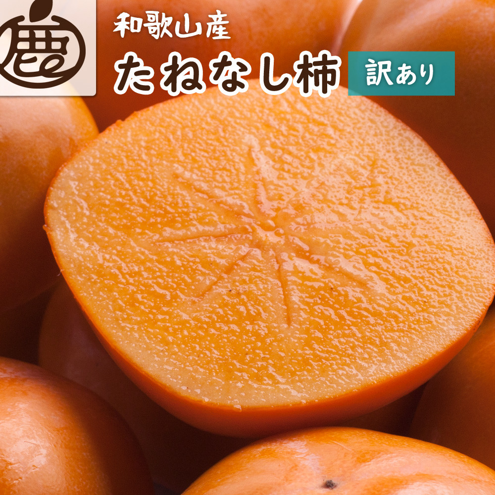 ［先行予約］家庭用&nbsp;たねなし柿&nbsp;約1kg［訳あり］［刀根早生・平核無柿（ひらたねなしかき）］［カキ・種無柿・種無し柿・種なし柿・無核柿］［IKE317］