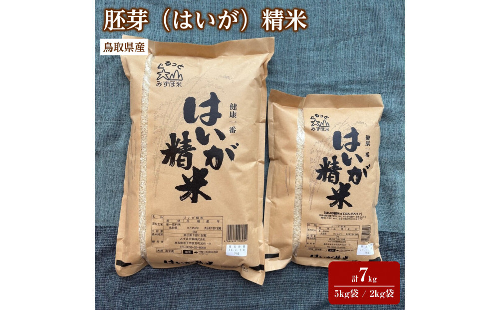 ＜7～10月配送不可＞鳥取県産胚芽米(計7kg・5kg袋&nbsp;/&nbsp;2kg袋)&nbsp;|&nbsp;米&nbsp;お米&nbsp;胚芽米&nbsp;健康米&nbsp;精米&nbsp;国産米&nbsp;鳥取県産&nbsp;栄養価&nbsp;食物繊維&nbsp;健康志向&nbsp;ご飯&nbsp;主食&nbsp;食べやすい&nbsp;家庭用&nbsp;食材&nbsp;保存&nbsp;お取り寄せ&nbsp;人気&nbsp;おすすめ&nbsp;鳥取県&nbsp;境港市