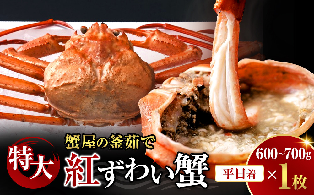 ＜平日着※指定日不可＞蟹屋の釜茹で紅ずわい蟹(特大・1枚)【鳥取県&nbsp;境港市】