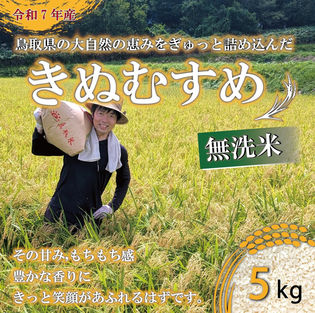 ＜令和7年産＞原田農園の「きぬむすめ」(無洗米・5kg)&nbsp;【鳥取県&nbsp;境港市】