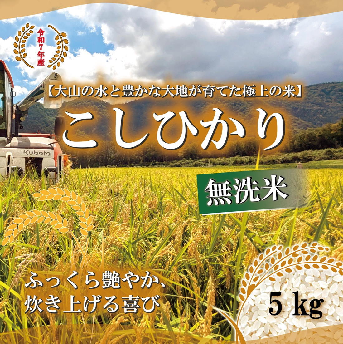 ＜令和7年産＞山崎農園のこしひかり(無洗米・5kg)&nbsp;【鳥取県&nbsp;境港市】
