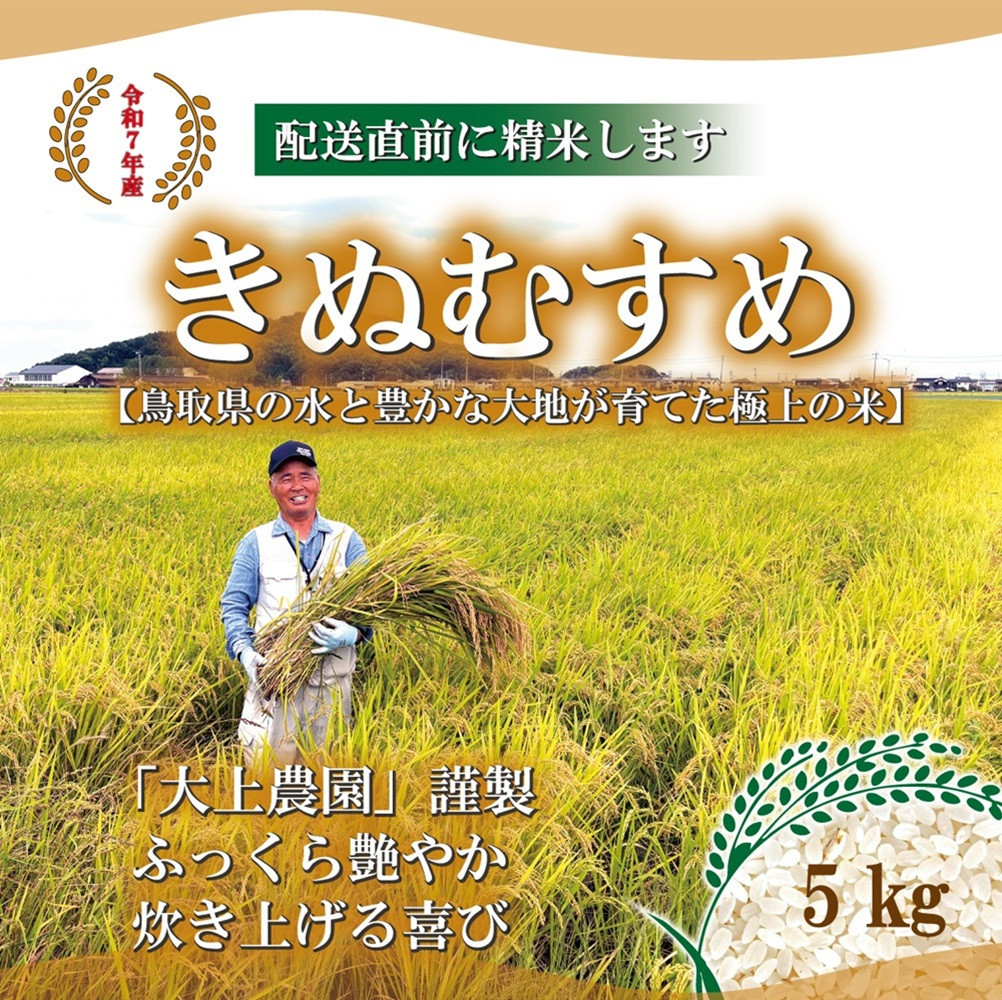 ＜令和7年産＞大上農園のきぬむすめ(精米・5kg)&nbsp;【鳥取県&nbsp;境港市】
