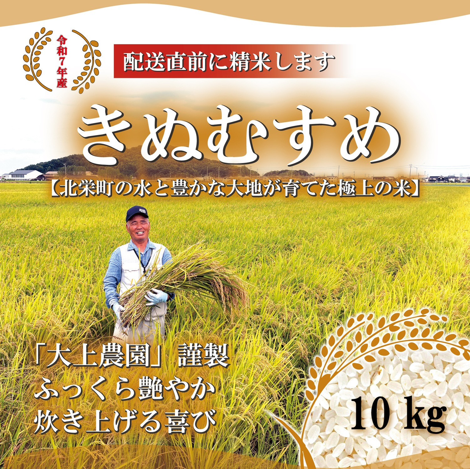 ＜令和7年産＞大上農園のきぬむすめ(精米・10kg)&nbsp;【鳥取県&nbsp;境港市】