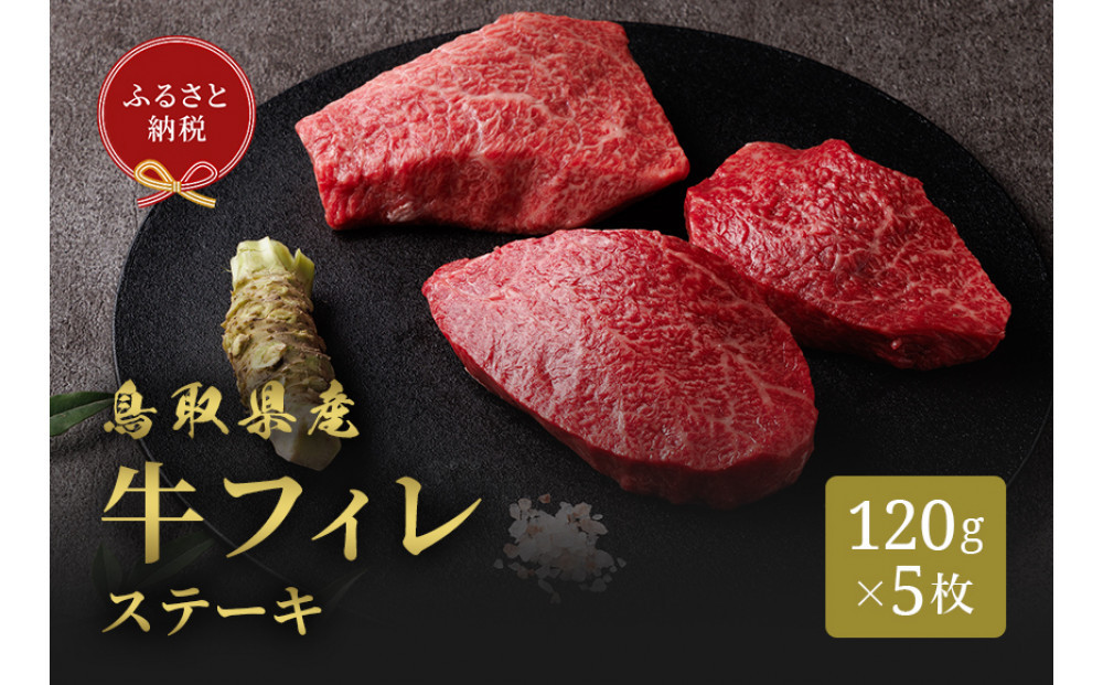 ＜和牛セレブ＞鳥取県産牛フィレ(ヒレ)ステーキ(120g×5枚)&nbsp;|&nbsp;牛肉&nbsp;和牛&nbsp;鳥取和牛&nbsp;フィレ&nbsp;ヒレ&nbsp;ヒレ肉&nbsp;フィレステーキ&nbsp;ステーキ&nbsp;高級部位&nbsp;贅沢食材&nbsp;ごちそう&nbsp;記念日&nbsp;ディナー&nbsp;家庭用&nbsp;冷凍&nbsp;保存&nbsp;ギフト&nbsp;贈答用&nbsp;プレゼント&nbsp;お取り寄せ&nbsp;グルメ&nbsp;人気&nbsp;おすすめ&nbsp;鳥取県&nbsp;境港市