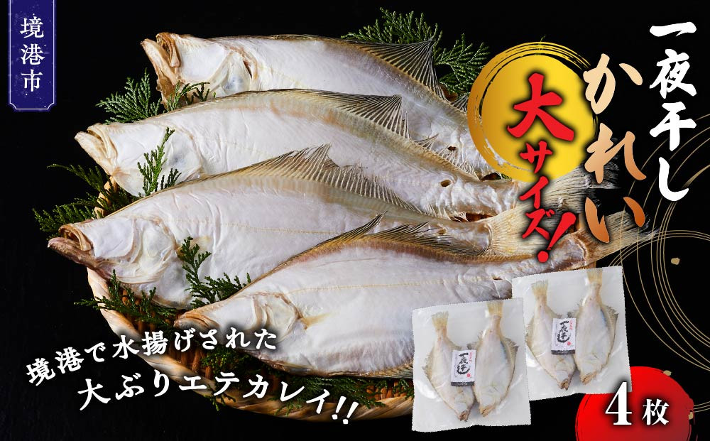 一夜干しかれい&nbsp;大サイズ！(4枚)【鳥取県&nbsp;境港市】