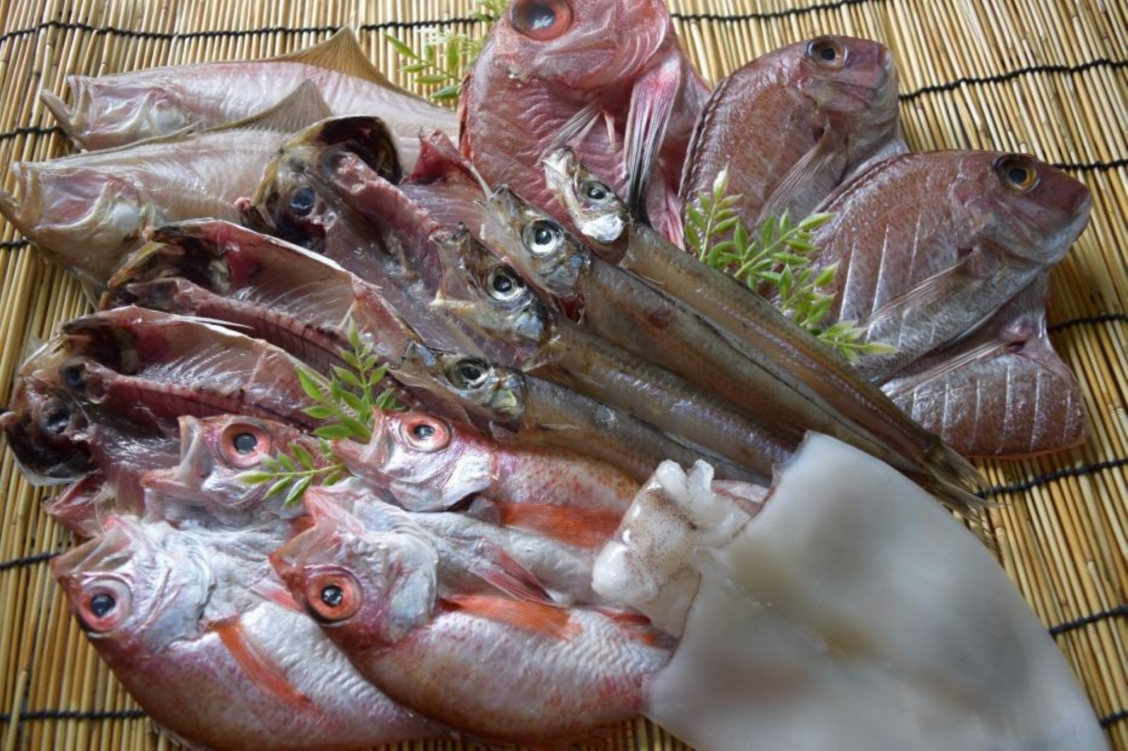 こだわりの一夜干詰合せ(4～5種類)