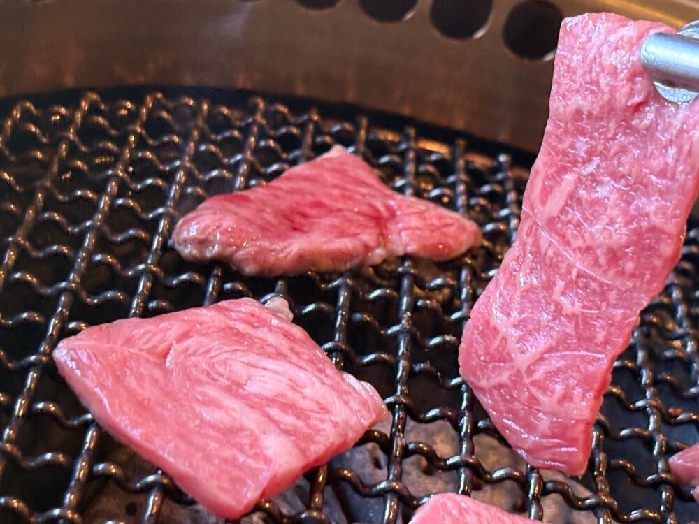 鳥取黒毛和牛もも焼肉用(計760g)