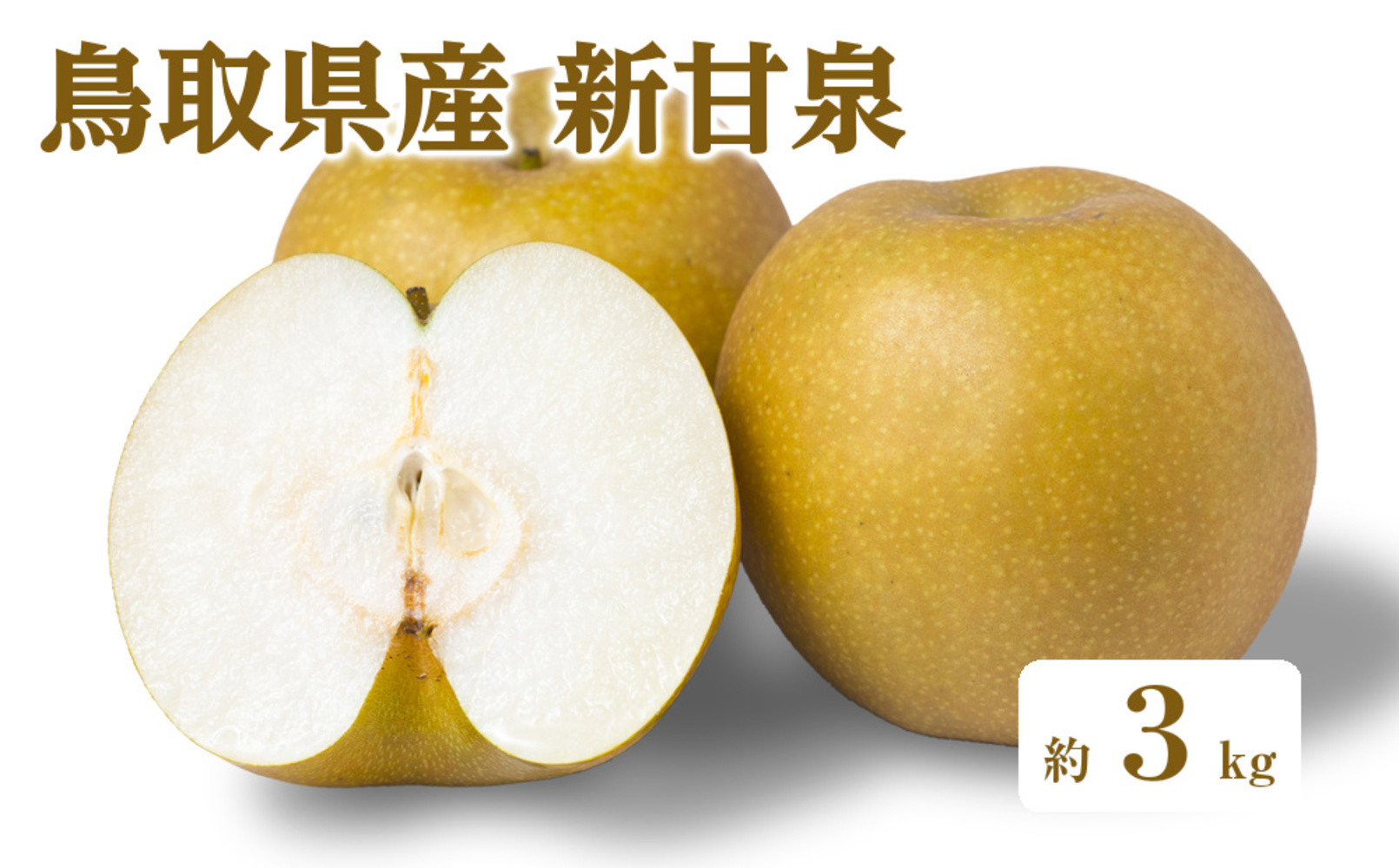 ＜数量限定＞＜2026年8月下旬以降順次発送予定＞鳥取県産新甘泉(約3kg)&nbsp;【鳥取県&nbsp;境港市】