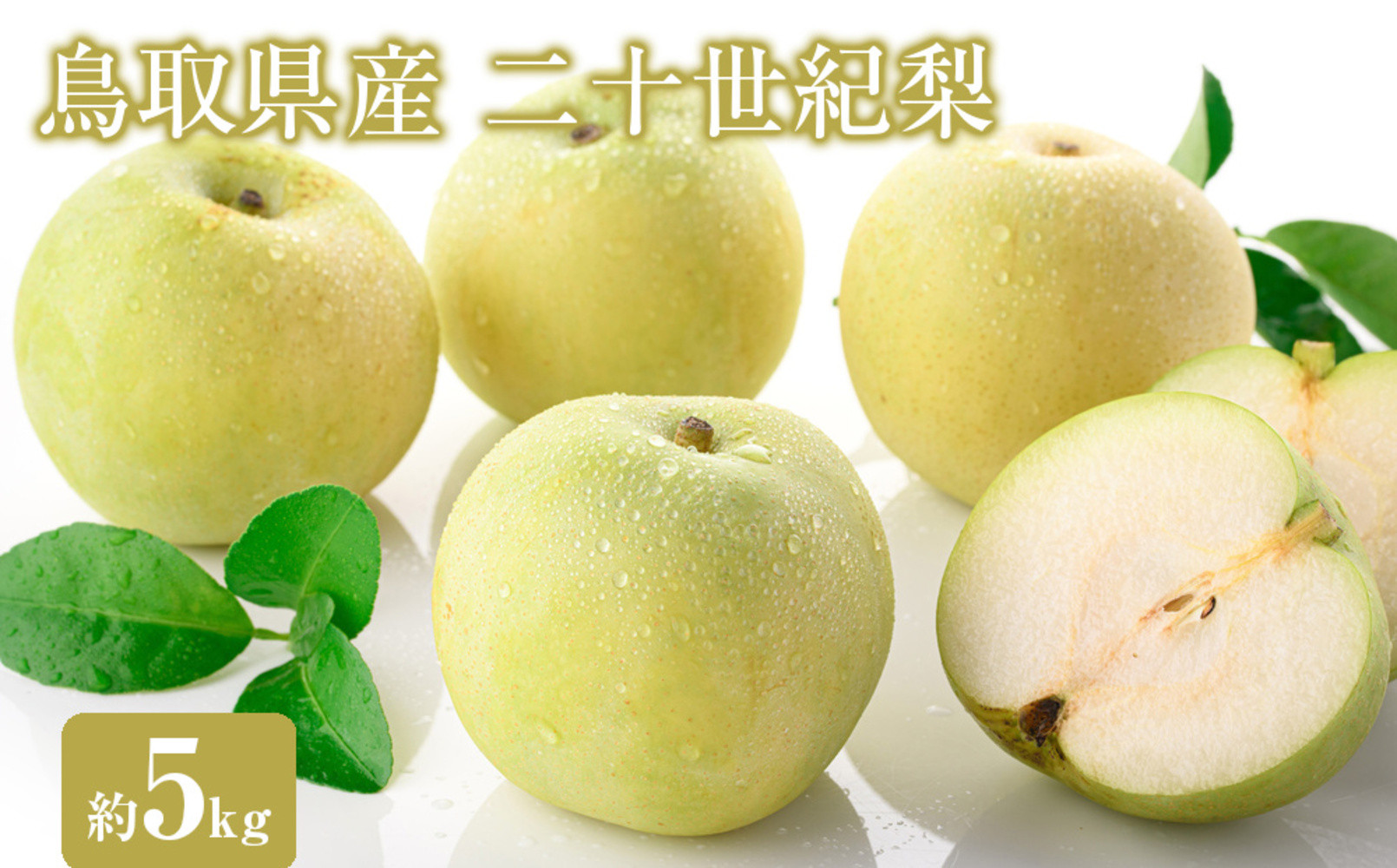 ＜数量限定＞＜2026年8月下旬以降順次発送予定＞鳥取県産二十世紀梨(約5kg)&nbsp;【鳥取県&nbsp;境港市】