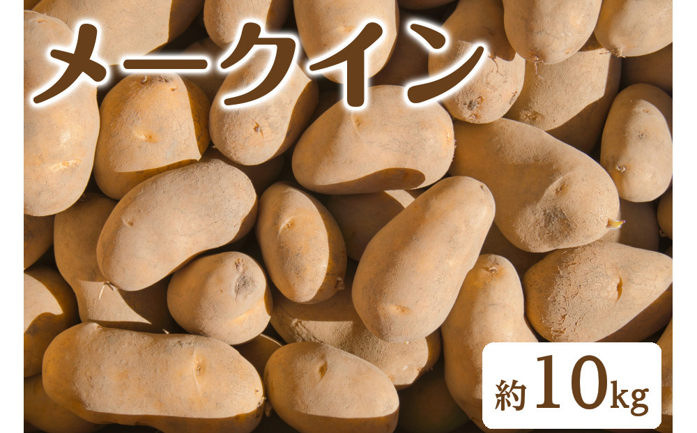 ＜7月中旬～9月中旬発送予定＞じゃがいも&nbsp;メークイン(約10kg)&nbsp;|&nbsp;じゃがいも&nbsp;ジャガイモ&nbsp;ばれいしょ&nbsp;メークイン&nbsp;野菜&nbsp;国産野菜&nbsp;産地直送&nbsp;大容量&nbsp;まとめ買い&nbsp;&nbsp;煮物&nbsp;カレー&nbsp;シチュー&nbsp;ポテトサラダ&nbsp;肉じゃが&nbsp;食材&nbsp;お取り寄せ&nbsp;グルメ&nbsp;人気&nbsp;おすすめ&nbsp;鳥取県&nbsp;境港市