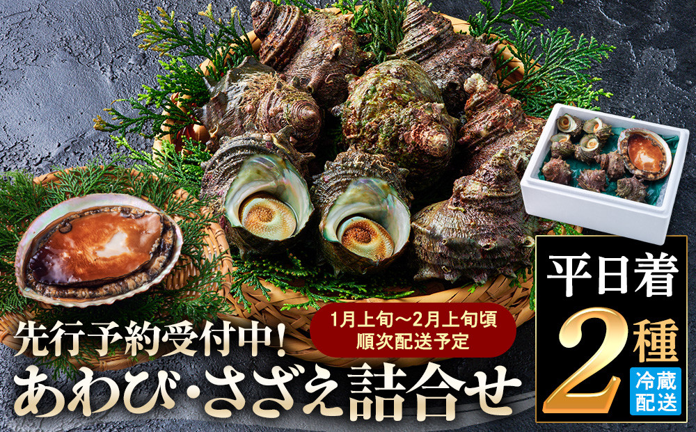 ＜平日着＞＜1月上旬～2月上旬頃順次配送＞あわび・さざえ詰合せ(2種)&nbsp;【鳥取県&nbsp;境港市】