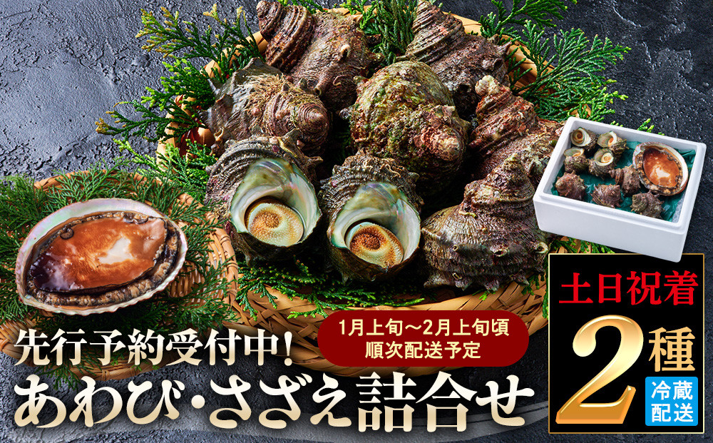 ＜土日祝着＞＜1月上旬～2月上旬頃順次配送＞あわび・さざえ詰合せ(2種)&nbsp;【鳥取県&nbsp;境港市】