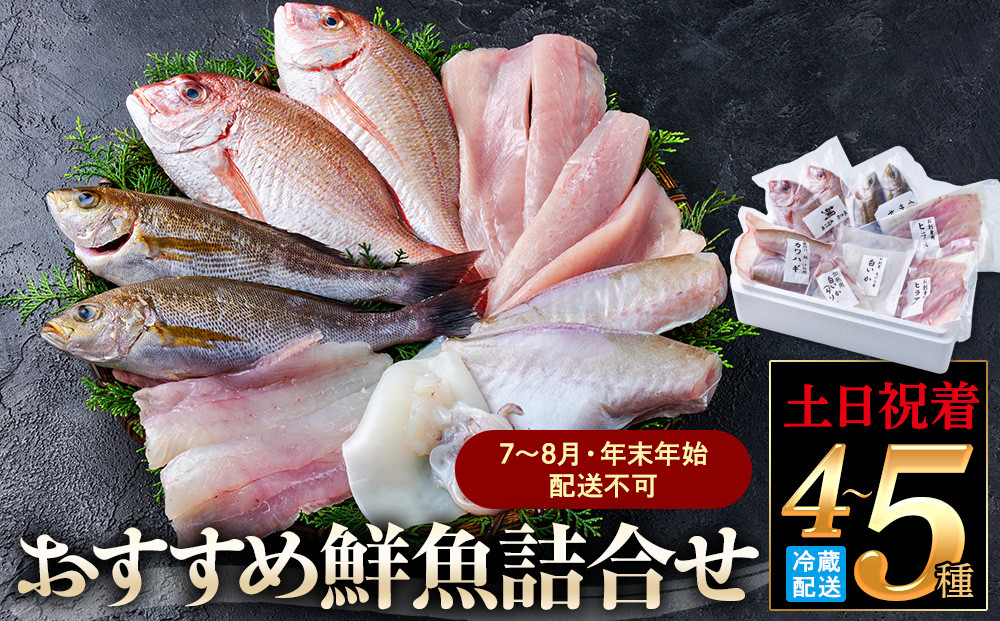 ＜土日祝着＞＜7～8月・年末年始配送不可＞おすすめ鮮魚詰め合わせ(4～5種類)&nbsp;【鳥取県&nbsp;境港市】