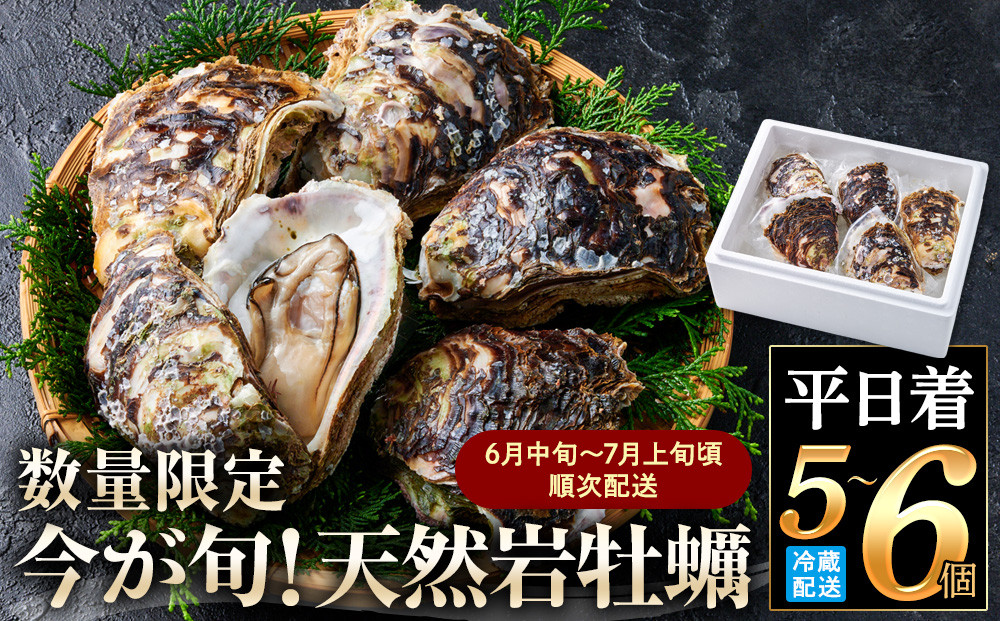＜平日着＞＜6月中旬～7月上旬頃順次配送＞今が旬！天然岩牡蠣(5～6個)&nbsp;【鳥取県&nbsp;境港市】