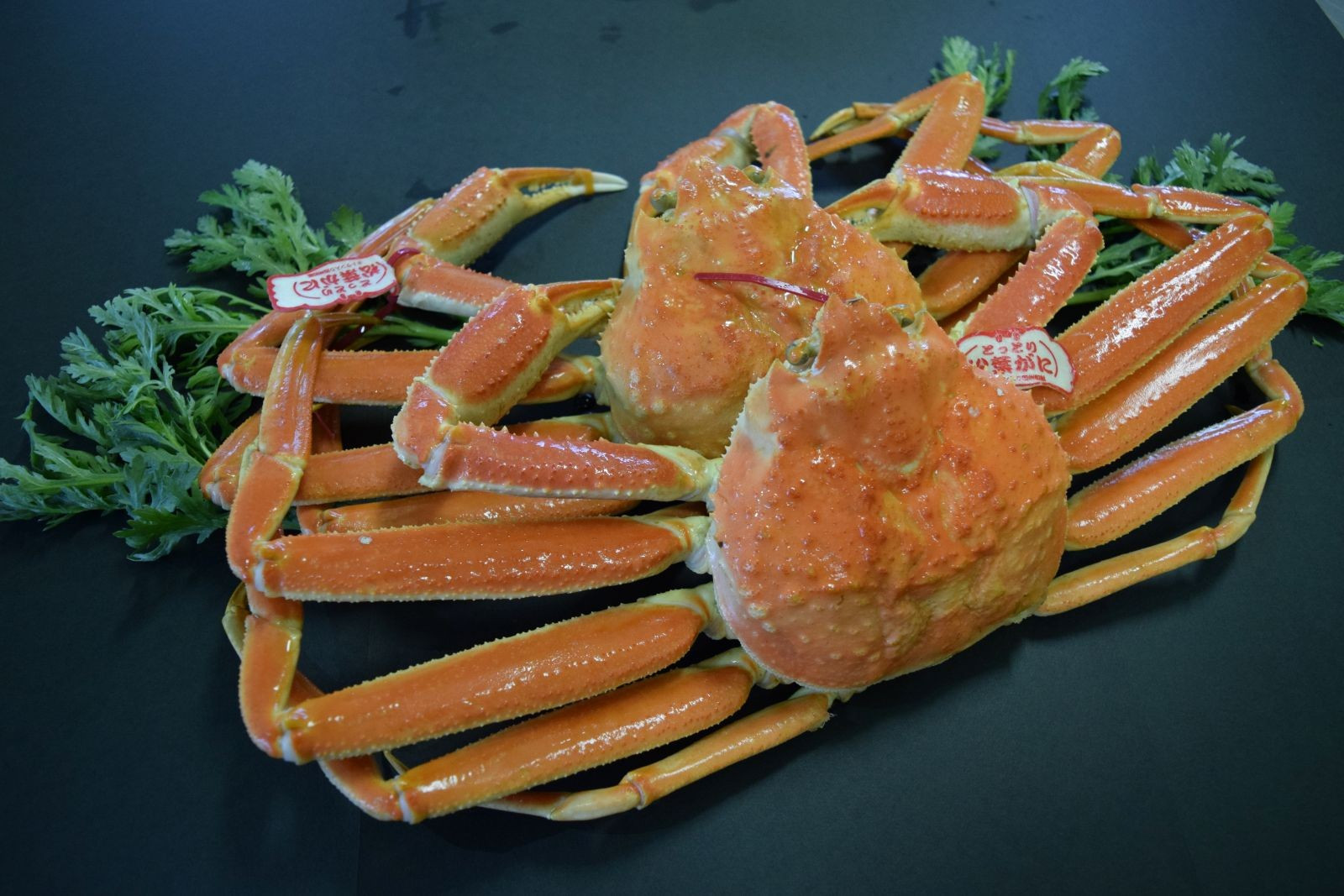 ＜土日祝着＞＜11月中旬～2月末発送予定＞特撰！茹で松葉がに大サイズ(タグ付き・2尾/1.4～1.5kg)