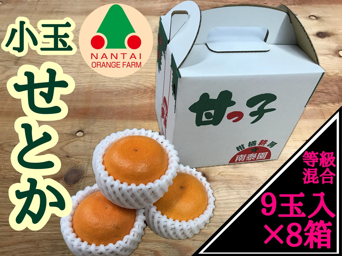 ［8箱セット］甘っ子&nbsp;小玉&nbsp;ハウス&nbsp;せとか&nbsp;9玉入&nbsp;×&nbsp;8箱&nbsp;手さげ箱&nbsp;南泰園