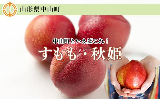 【2026年度受付開始】☆中山町といえばこれ！すもも「秋姫」秀&nbsp;5L～6L　8～9玉入り2.4kg（1.2kg×2パック）