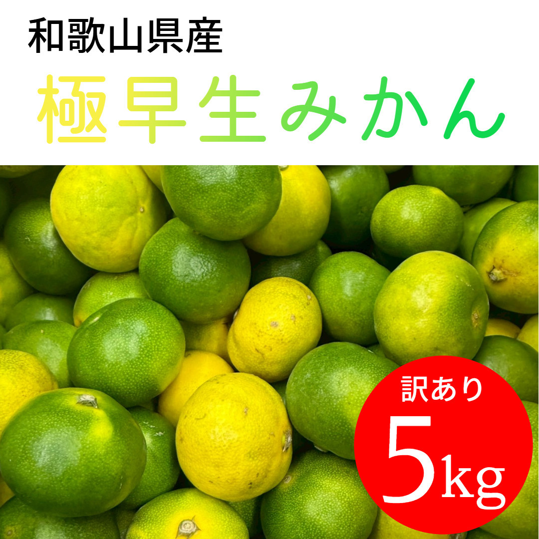 家庭用&nbsp;和歌山県産&nbsp;極早生みかん&nbsp;5kg
